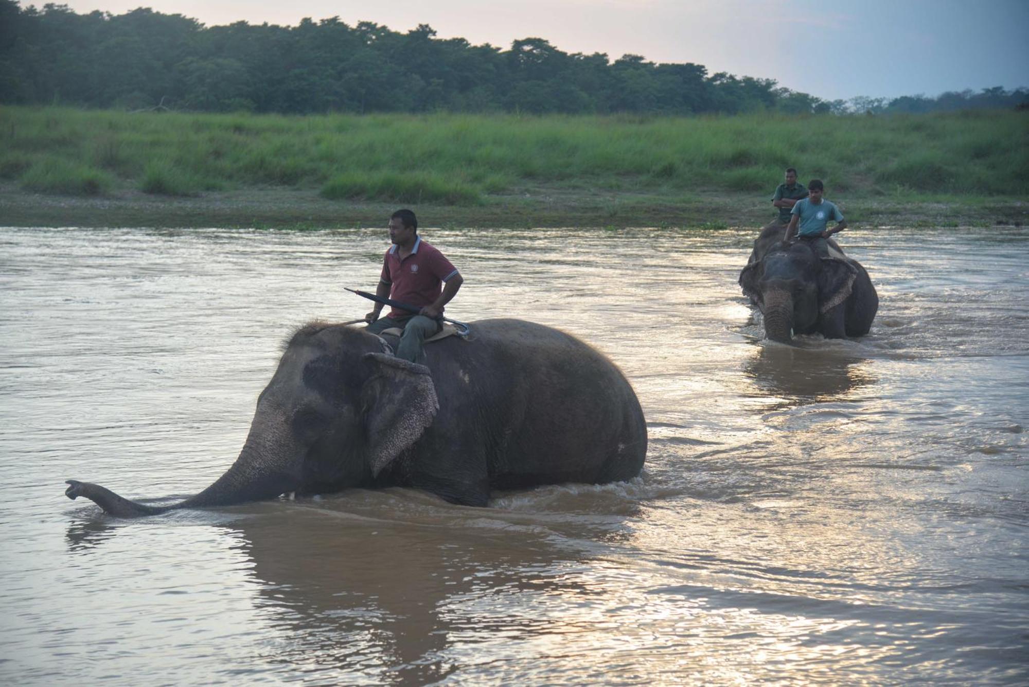 Greenland Safari, Sauraha Kültér fotó